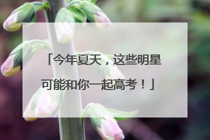 今年夏天，这些明星可能和你一起高考！