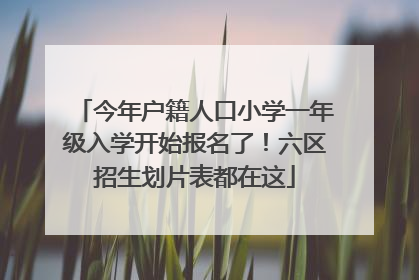今年户籍人口小学一年级入学开始报名了！六区招生划片表都在这