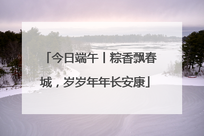 今日端午丨粽香飘春城，岁岁年年长安康