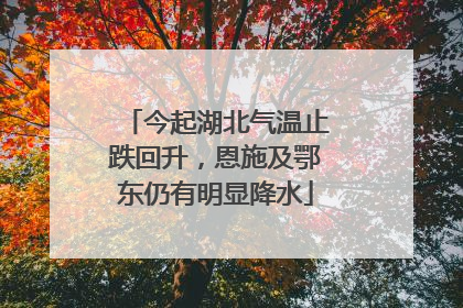 今起湖北气温止跌回升，恩施及鄂东仍有明显降水