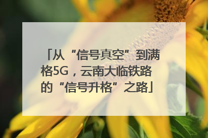 从“信号真空”到满格5G，云南大临铁路的“信号升格”之路