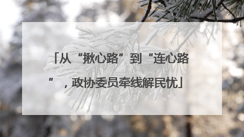 从“揪心路”到“连心路”，政协委员牵线解民忧
