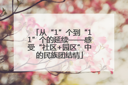 从“1”个到“11”个的延续——感受“社区+园区”中的民族团结情