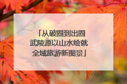 从破圈到出圈 武陵源以山水绘就全域旅游新图景