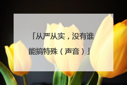 从严从实，没有谁能搞特殊（声音）