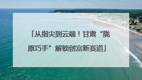 从指尖到云端！甘肃“陇原巧手”解锁创富新赛道
