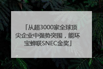 从超3000家全球顶尖企业中强势突围，能环宝蝉联SNEC金奖