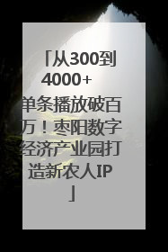 从300到4000+ 单条播放破百万！枣阳数字经济产业园打造新农人IP