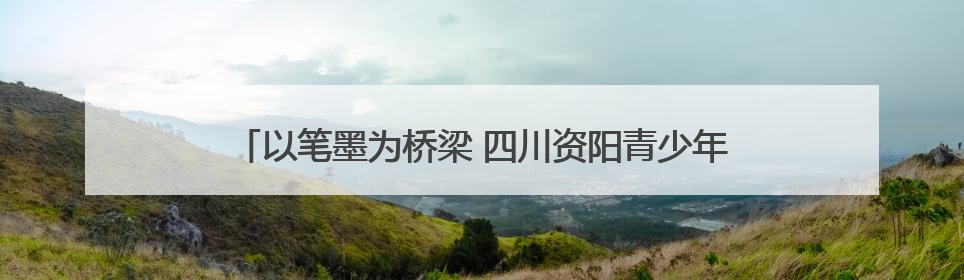 以笔墨为桥梁 四川资阳青少年书画传习大赛绽放文化新活力