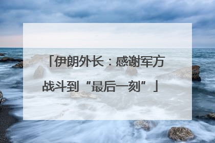 伊朗外长：感谢军方战斗到“最后一刻”