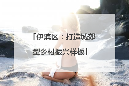 伊滨区：打造城郊型乡村振兴样板