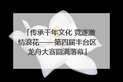 传承千年文化 竞逐激情浪花——第四届丰台区龙舟大赛圆满落幕