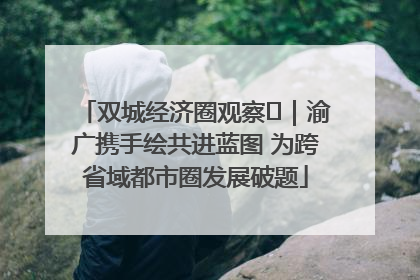 双城经济圈观察㊺｜渝广携手绘共进蓝图 为跨省域都市圈发展破题