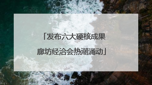 发布六大硬核成果 廊坊经洽会热潮涌动