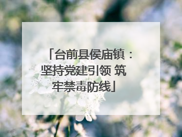 台前县侯庙镇：坚持党建引领 筑牢禁毒防线
