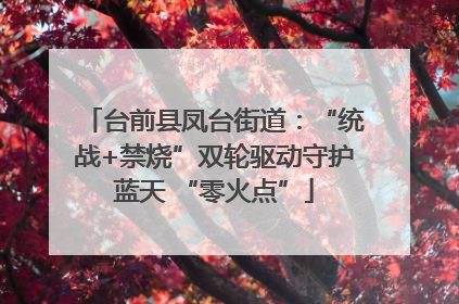 台前县凤台街道：“统战+禁烧”双轮驱动守护蓝天 “零火点”