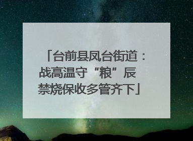 台前县凤台街道：战高温守“粮”辰 禁烧保收多管齐下