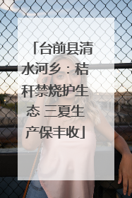 台前县清水河乡：秸秆禁烧护生态 三夏生产保丰收