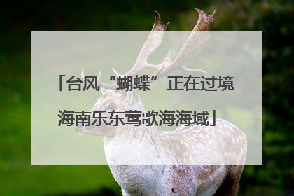 台风“蝴蝶”正在过境海南乐东莺歌海海域