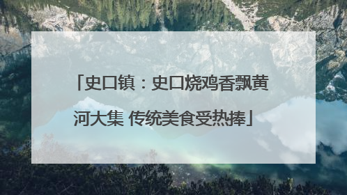 史口镇：史口烧鸡香飘黄河大集 传统美食受热捧