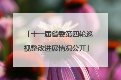 十一届省委第四轮巡视整改进展情况公开