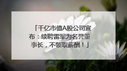 千亿市值A股公司宣布：续聘雷军为名誉董事长，不领取薪酬！