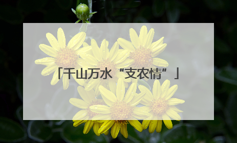 千山万水“支农情”