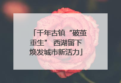千年古镇“破茧重生” 西湖留下焕发城市新活力