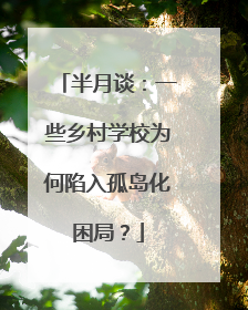 半月谈：一些乡村学校为何陷入孤岛化困局？