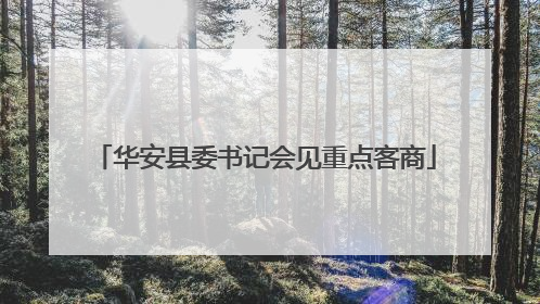 华安县委书记会见重点客商