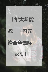 华太新能源：国内先锋奋争国际龙头