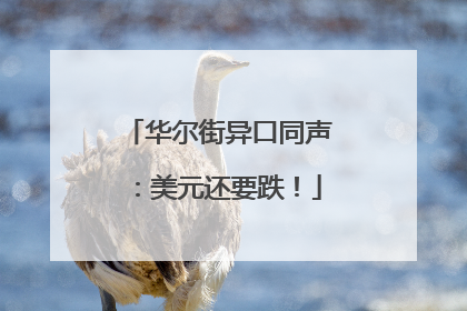 华尔街异口同声：美元还要跌！