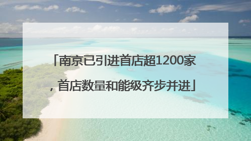 南京已引进首店超1200家，首店数量和能级齐步并进