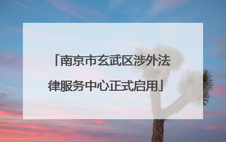 南京市玄武区涉外法律服务中心正式启用