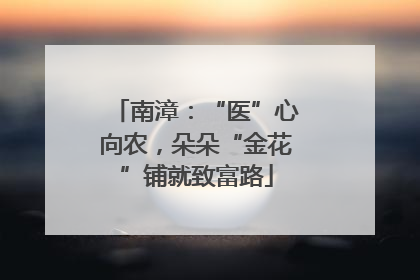 南漳：“医”心向农，朵朵“金花”铺就致富路