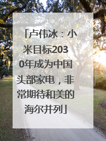 卢伟冰：小米目标2030年成为中国头部家电，非常期待和美的海尔并列
