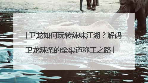 卫龙如何玩转辣味江湖？解码卫龙辣条的全渠道称王之路