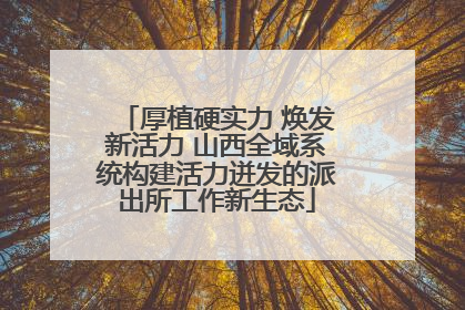 厚植硬实力 焕发新活力 山西全域系统构建活力迸发的派出所工作新生态