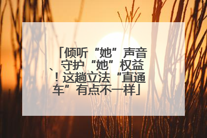 倾听“她”声音、守护“她”权益！这趟立法“直通车”有点不一样