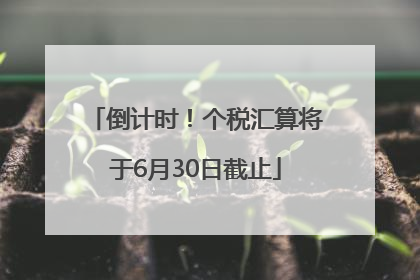 倒计时！个税汇算将于6月30日截止