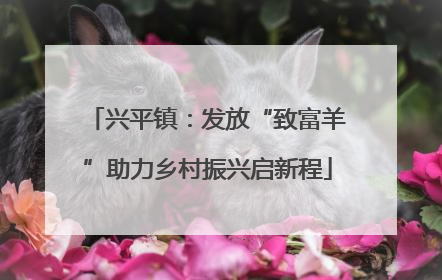 兴平镇：发放“致富羊”助力乡村振兴启新程