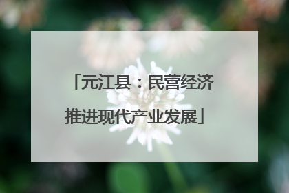 元江县：民营经济推进现代产业发展