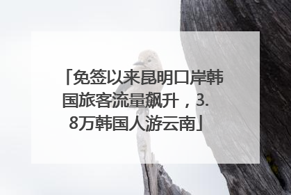 免签以来昆明口岸韩国旅客流量飙升，3.8万韩国人游云南