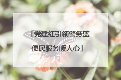 党建红引领警务蓝 便民服务暖人心