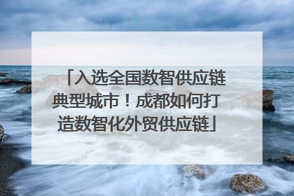 入选全国数智供应链典型城市！成都如何打造数智化外贸供应链