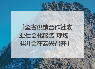 全省供销合作社农业社会化服务 现场推进会在泰兴召开