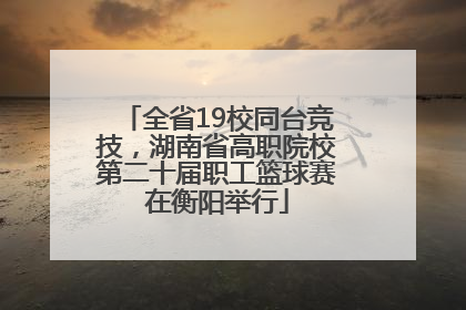 全省19校同台竞技，湖南省高职院校第二十届职工篮球赛在衡阳举行