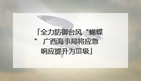 全力防御台风“蝴蝶” 广西海事局将应急响应提升为Ⅲ级