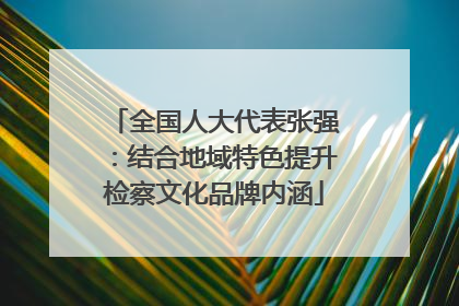 全国人大代表张强：结合地域特色提升检察文化品牌内涵