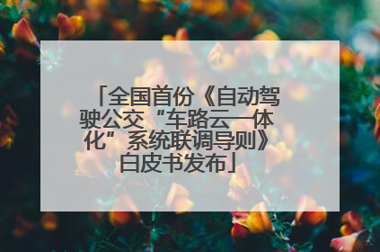 全国首份《自动驾驶公交“车路云一体化”系统联调导则》白皮书发布